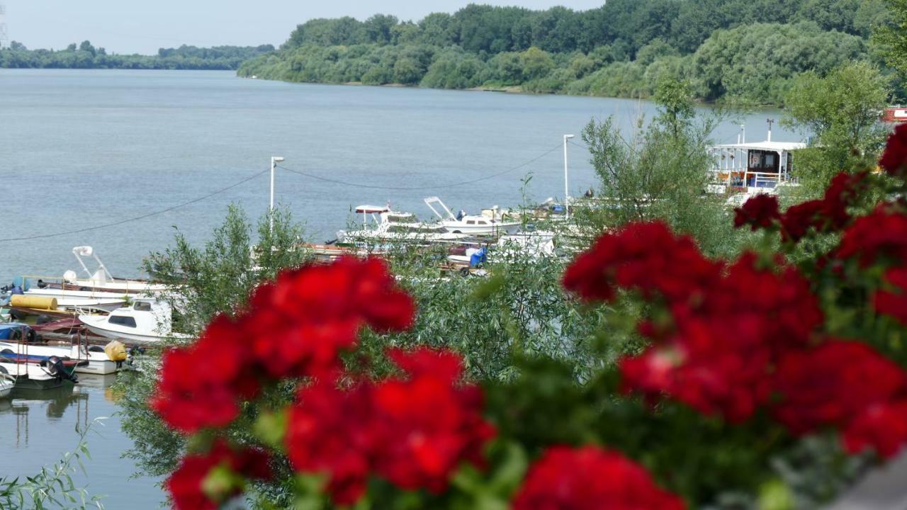 B&B Posejdon Sremska Mitrovica Exterior foto